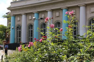 Sommer in Berlin