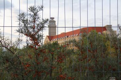 Schöneweide - August 2014