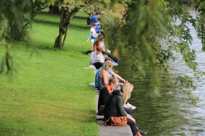 Vom kleinen zum großen Tiergarten